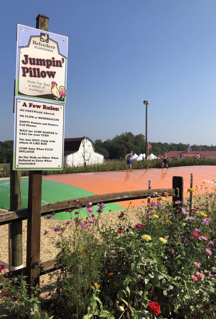 a sign reads "Jumpin' Pillow" while children jump on a large inflated pillow in the background