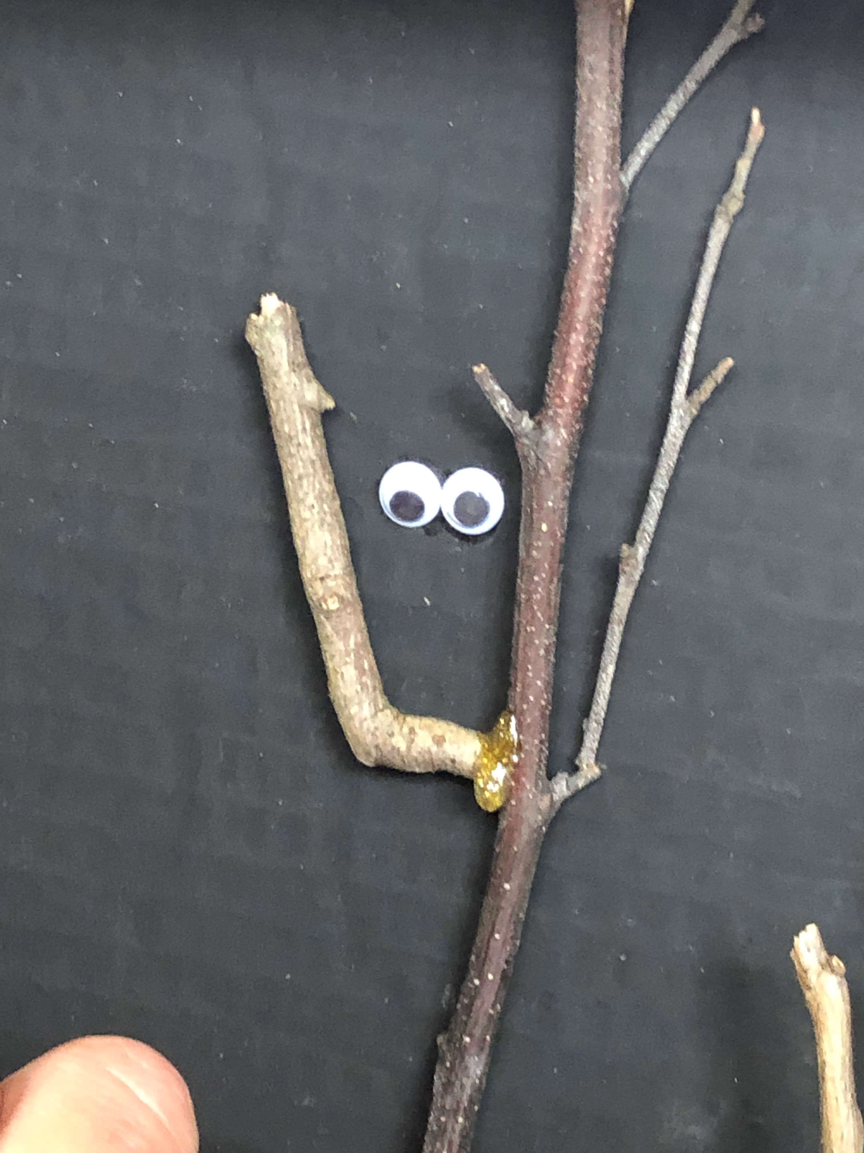 a close-up of googly eyes positioned above twigs on a black background