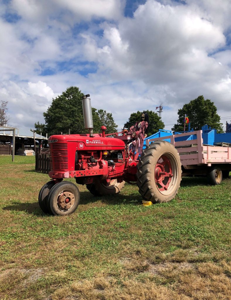 a skeleton dressed as a pirate appears to drive a tractor