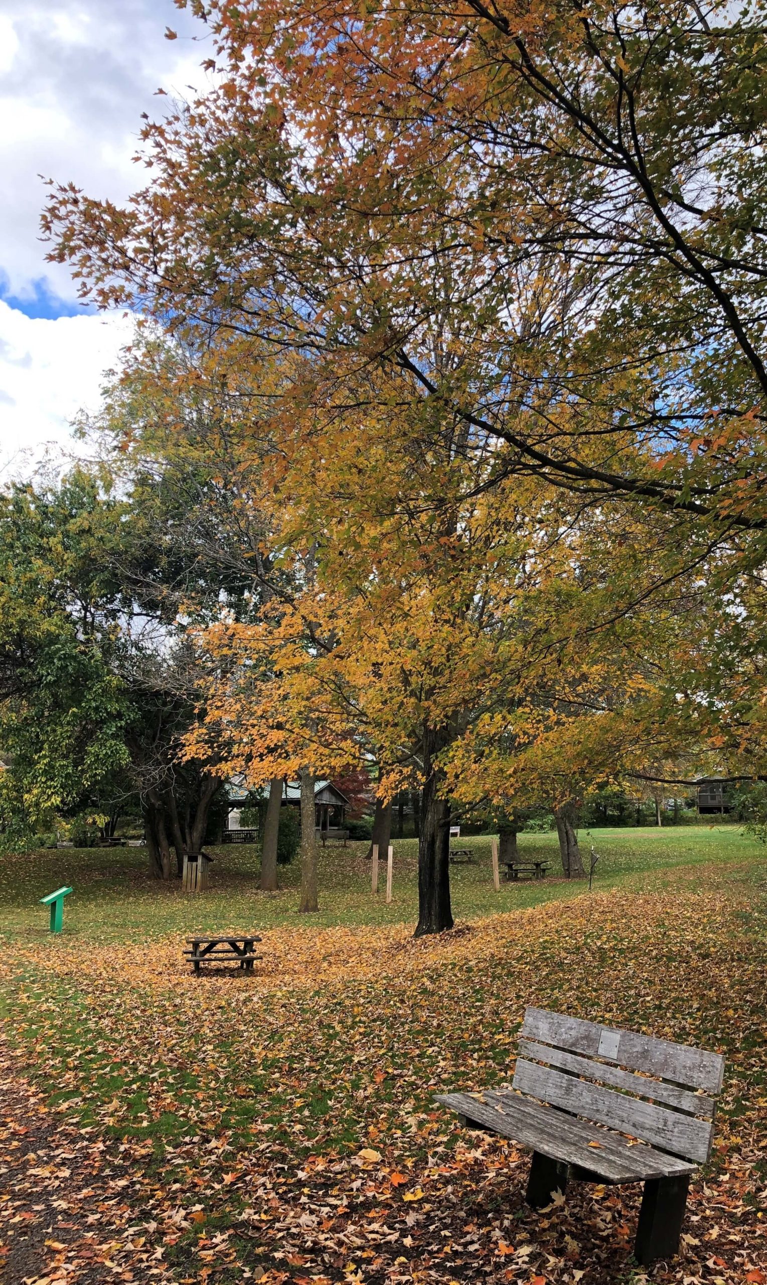 A Hike on the Virginia Creeper Trail in Abingdon, Virginia - At Yarn's ...