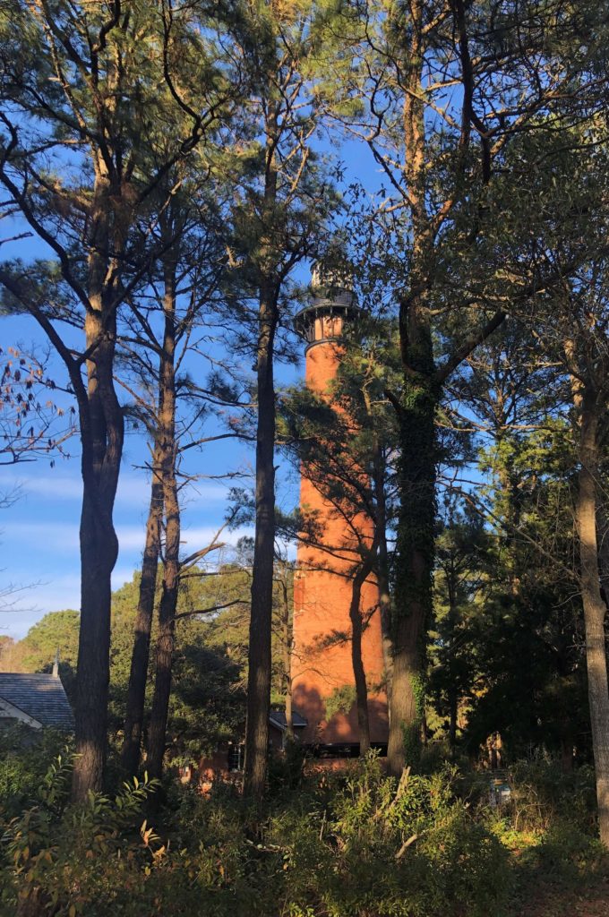 the Currituck Beach Lighthouse, a red brick lighthouse, is visible through pine trees