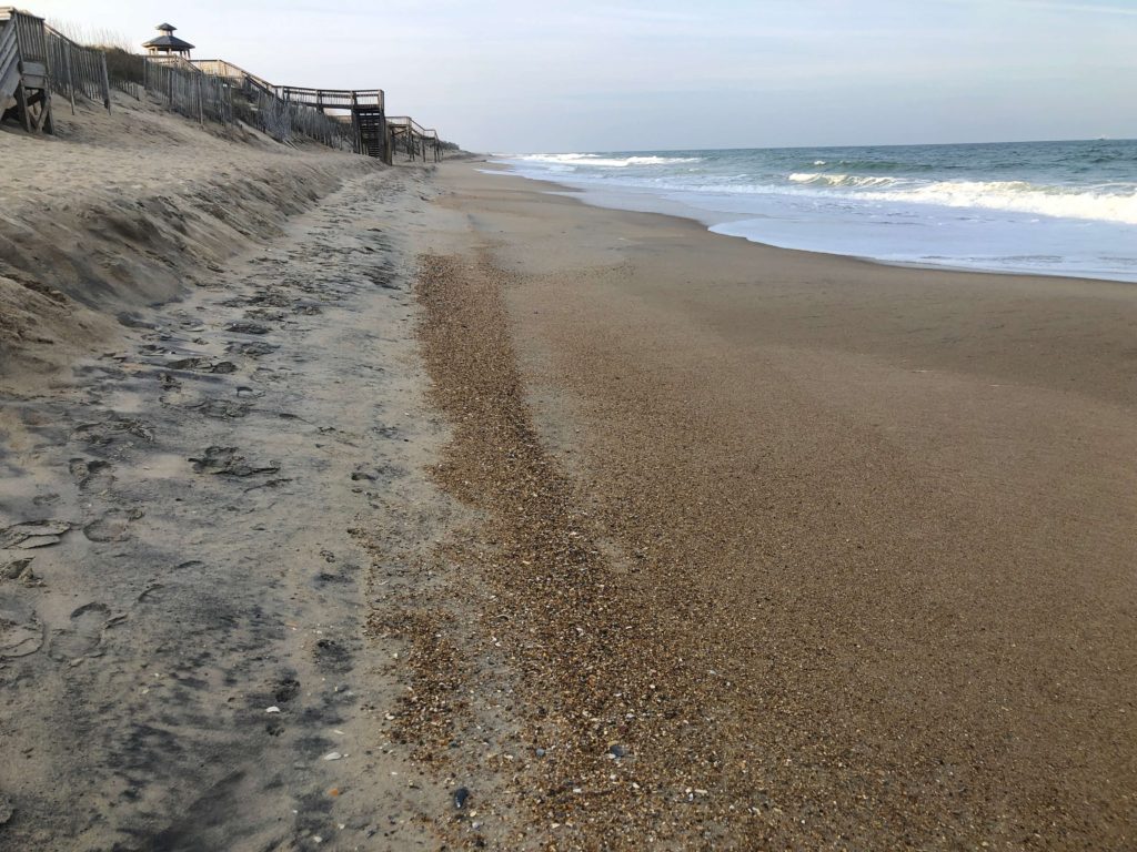 the seashore at the Outer Banks