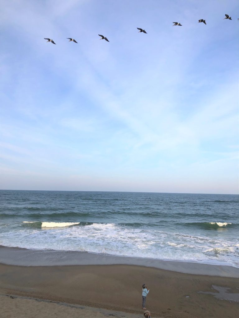 children look up as pelicans fly by on the coast