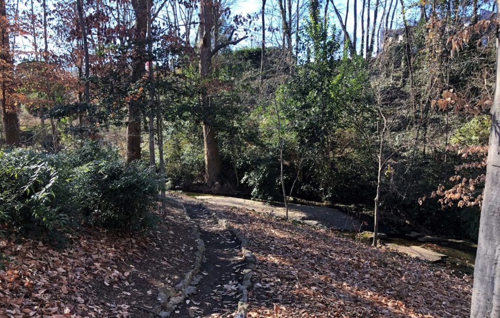 an uneven stone path winds through the woods